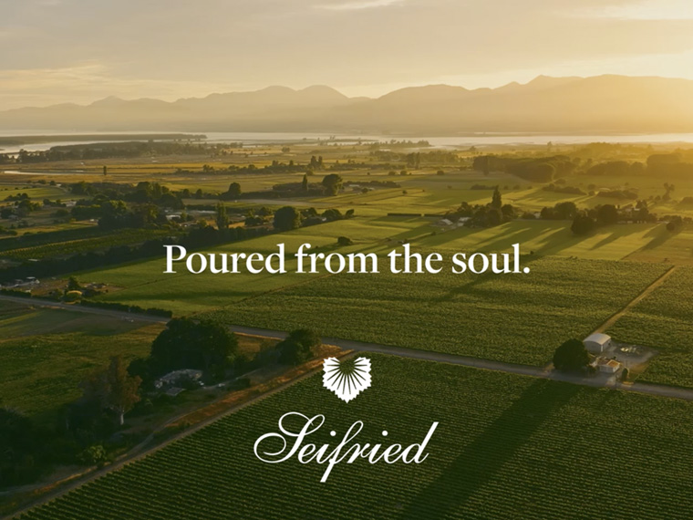 Seifried – Brand Refresh and Website